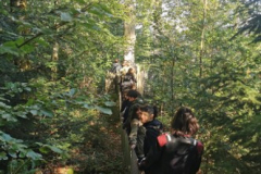 Waldkirch1