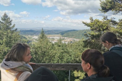 Waldkirch2
