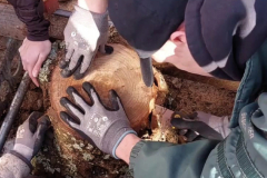 Holzworkshop_Instabeitrag_Bild_3